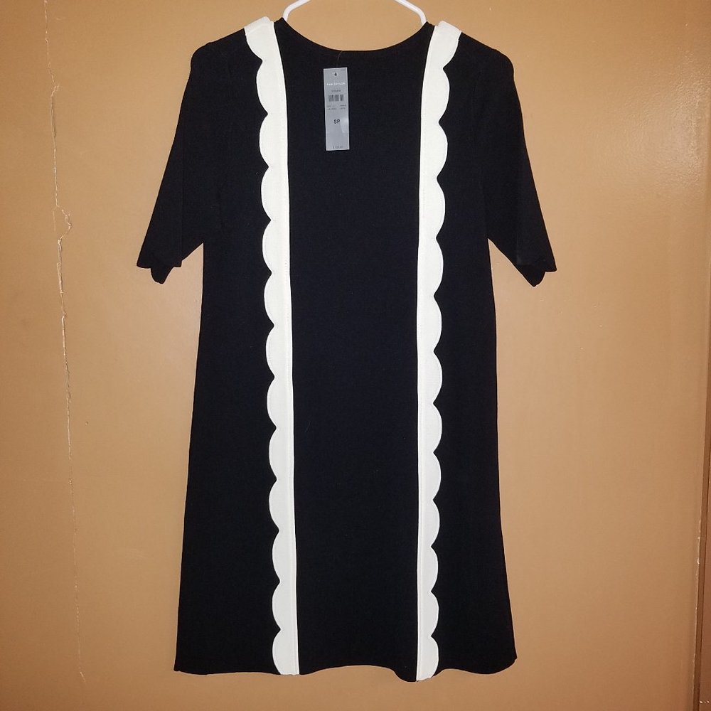 $129 ANN TAYLOR VARIOUS SIZES BLACK WHITE SCALLOP